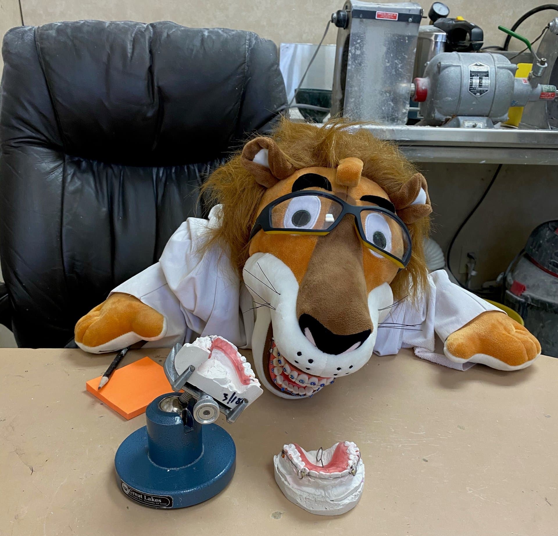 A Lion mascot with a model of teeth and braces. | Harwell & Cook Orthodontics
